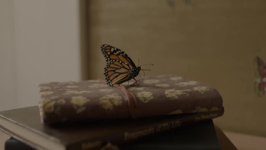 A butterfly sits on a stack of books
