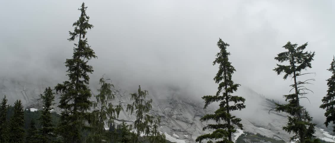 Clouds cover the mountain peak as trees sway in the wind