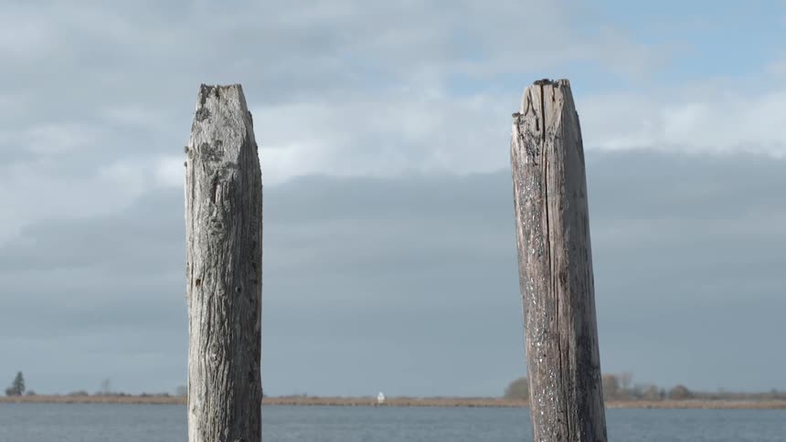 Two wooden posts near a body of water
