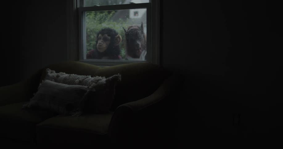 An ape and a wolf look through a window to see the inside of a house