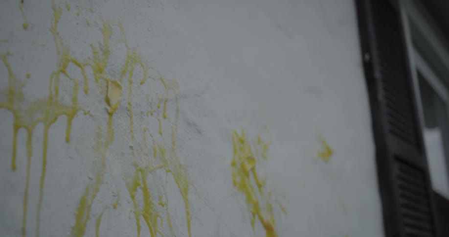 Eggs smash against the wall of the house