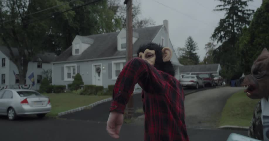A group of people are wearing animal masks and throwing a baseball on a neighborhood street