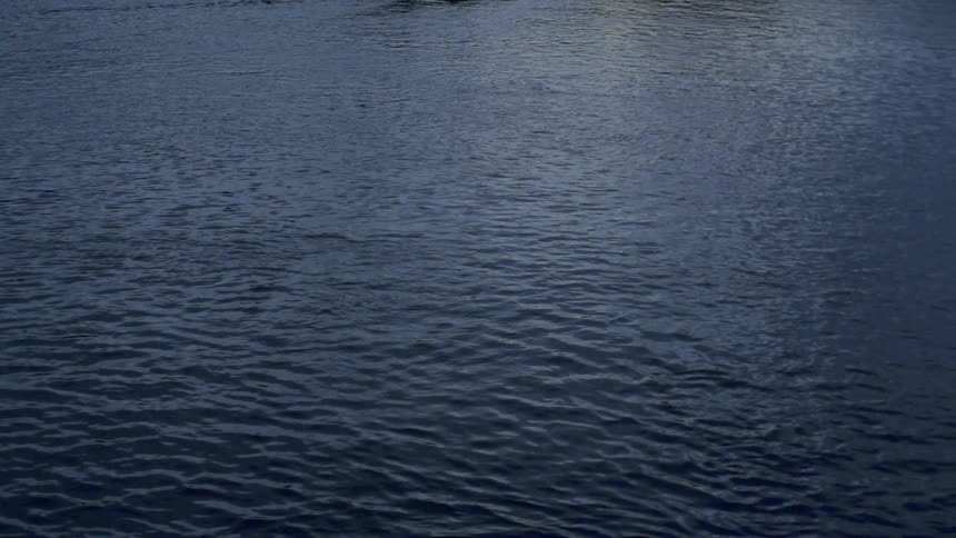 The water is dark and rough below