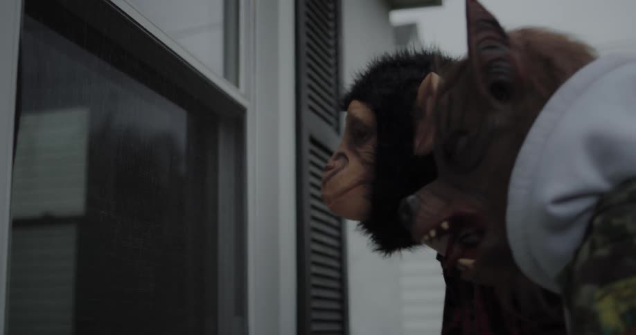 Teenagers in animal masks peek inside a house