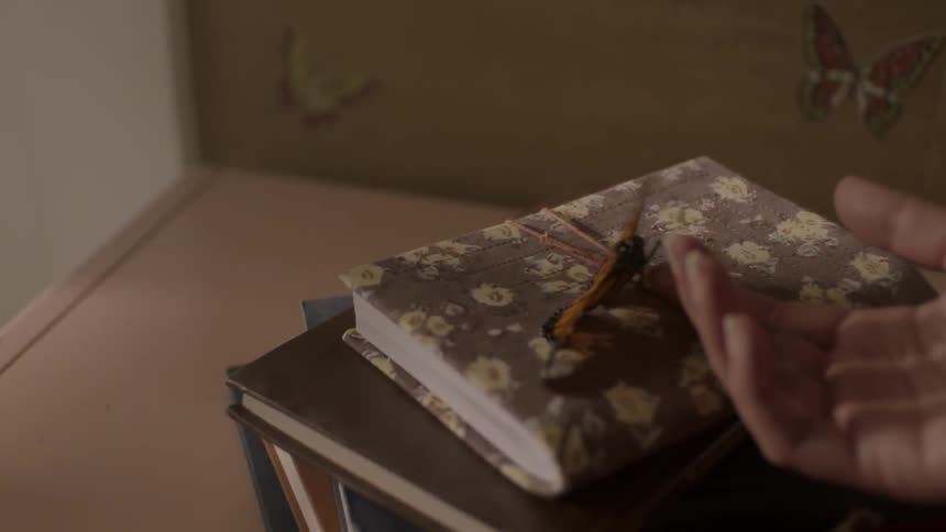 A butterfly is being played with