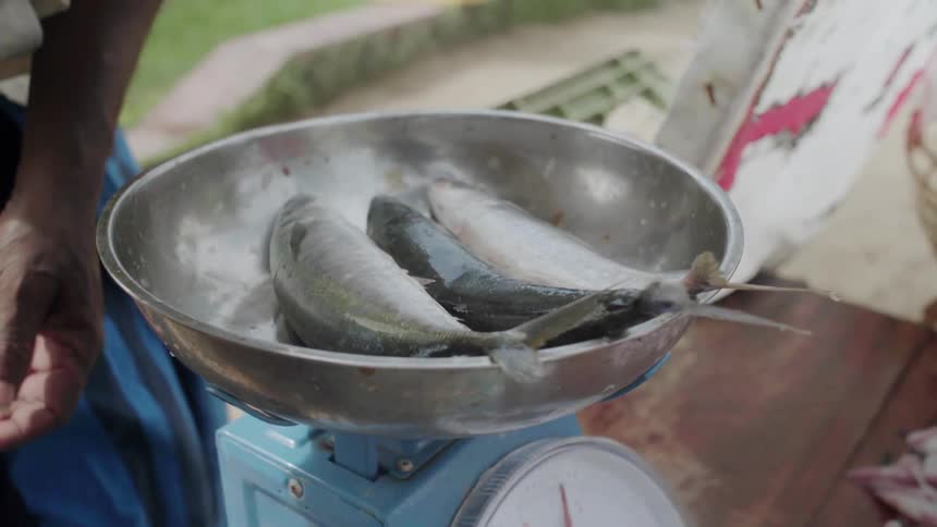 A woman weighs fish at a market