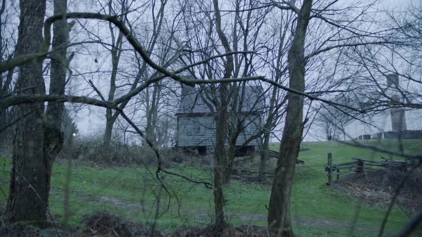 An old shack in a clearing in the woods