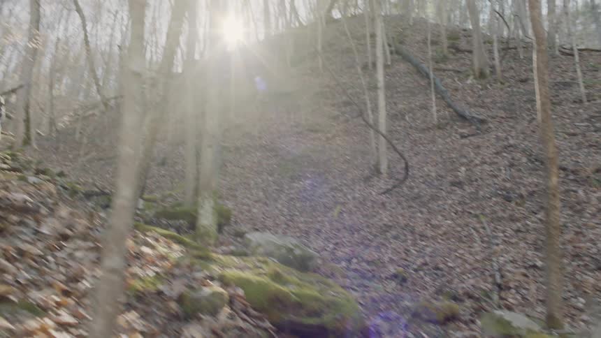 Men wield rifles while walking in a forest