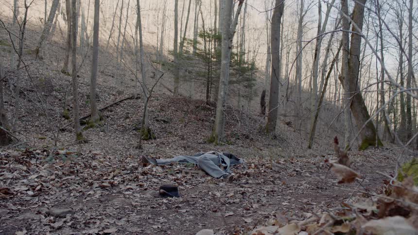 A fallen soldier lays in the forest