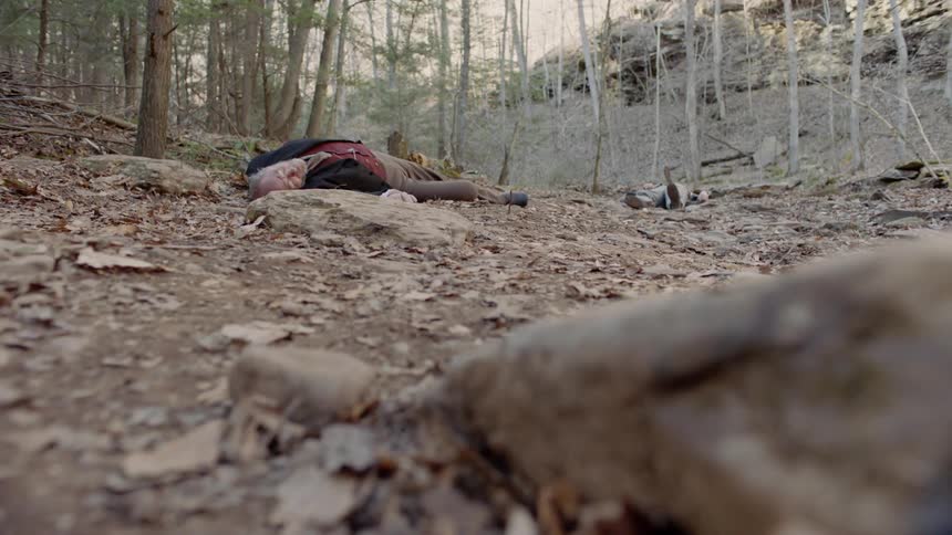 A body lies in a forest