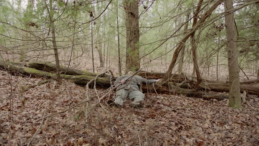 A body lies in a forest