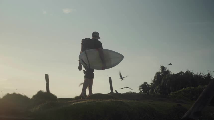 A surfer climbs the hill scattering all the birds