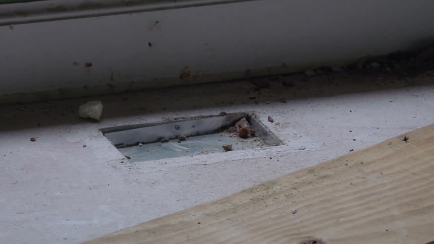 Debris is scattered on a window sill