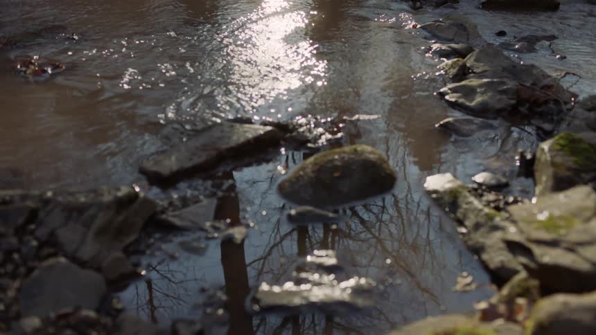 A stream flows around rocks as trees and sunlight reflect on the surface