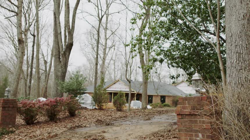 A house is surrounded by tall trees