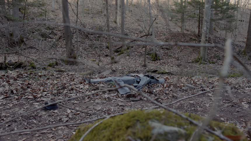 A fallen soldier lays in the forest