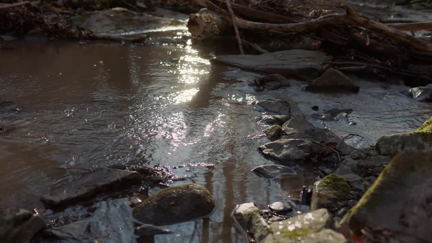 Stream water flows gently down the stream