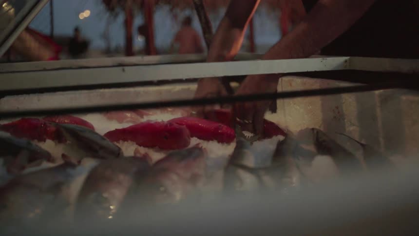 Person arranges lobsters on a bed of ice