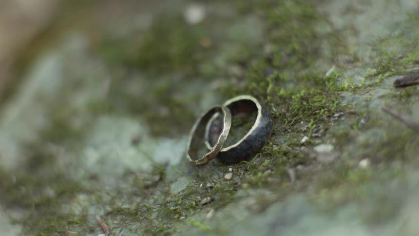 Two rings are placed on a mossy rock