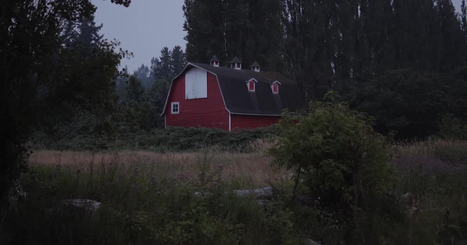 A barn sits near tall trees