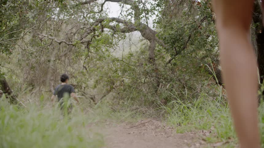 People walking down a trail in the woods