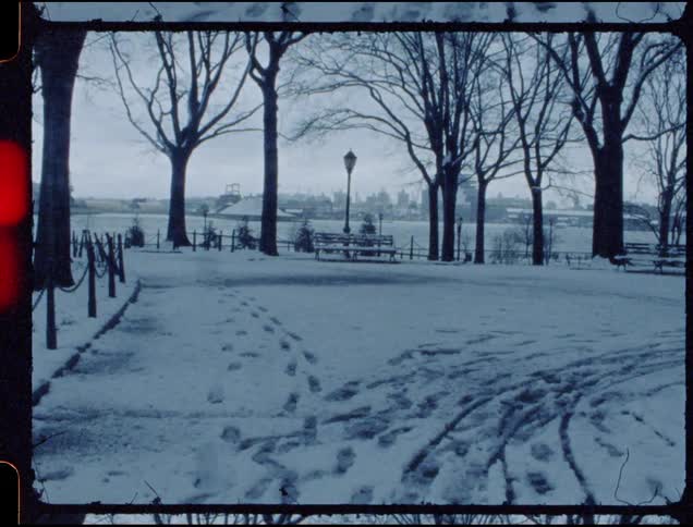 The park is covered with snow