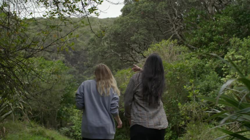People are walking through the woods