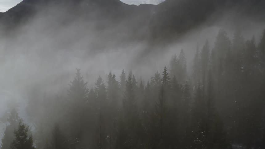 Heavy fog covers the forest on the hills
