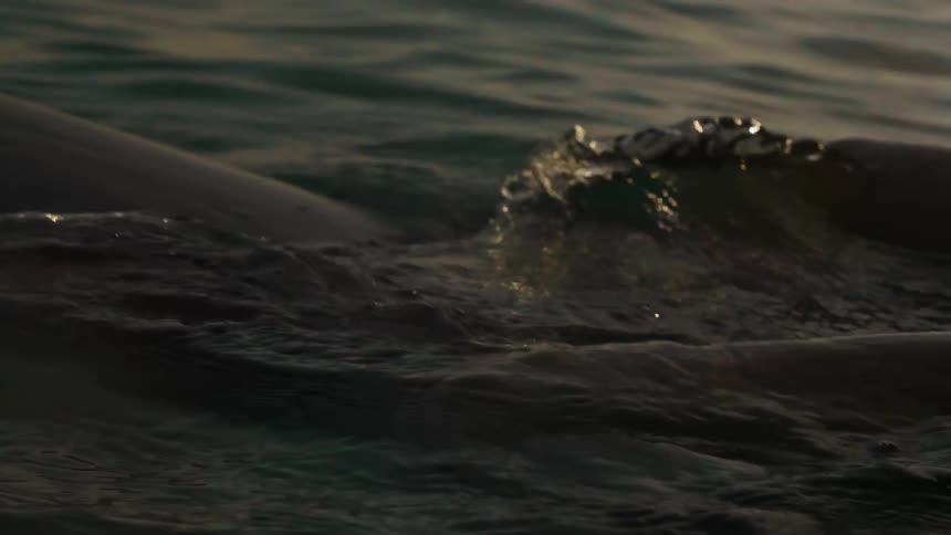 Person sits on surfboard in the ocean