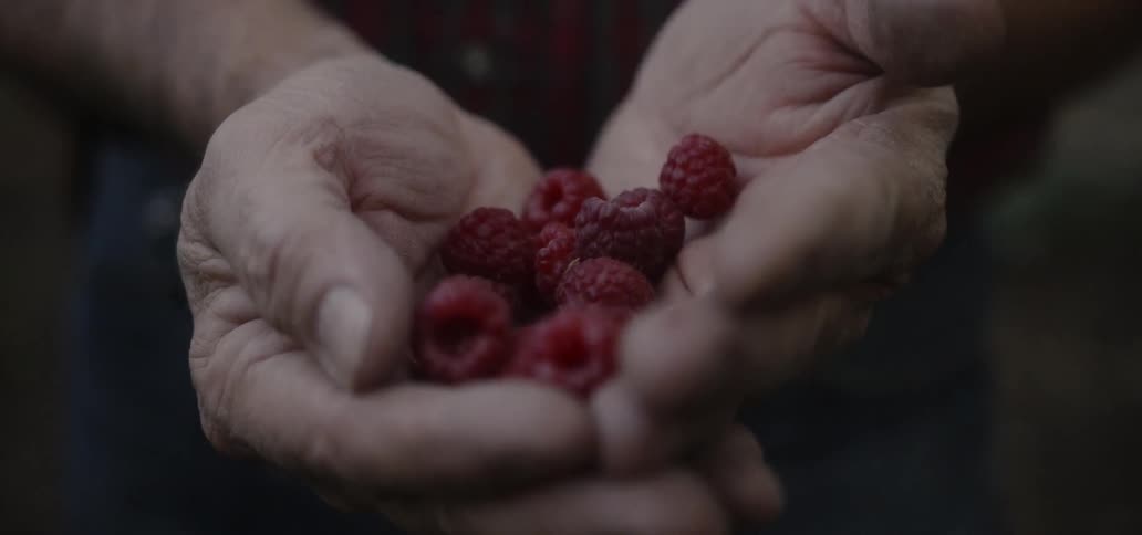 Man holds raspberries in his hands
