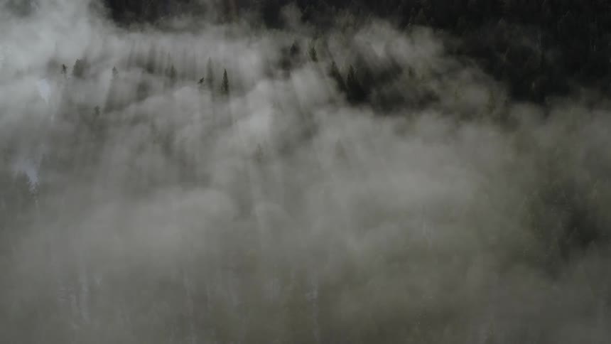 The smoke rolls around over the forest at night