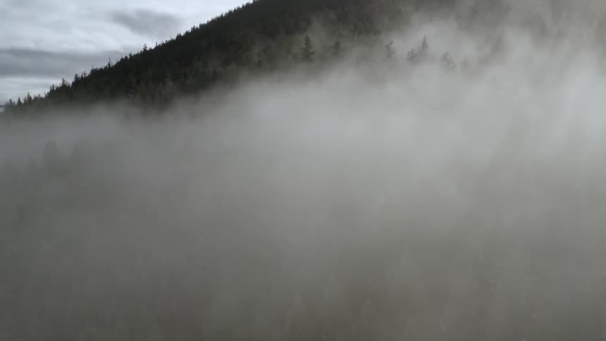 Fog covers the foot of a tree covered mountain