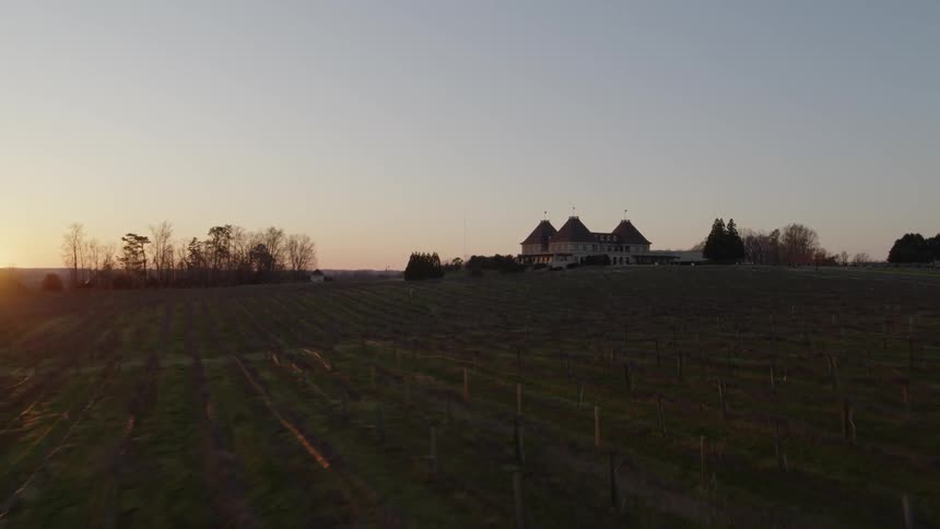 Skimming over rows of grapes at a beautiful vineyard as the sun sets