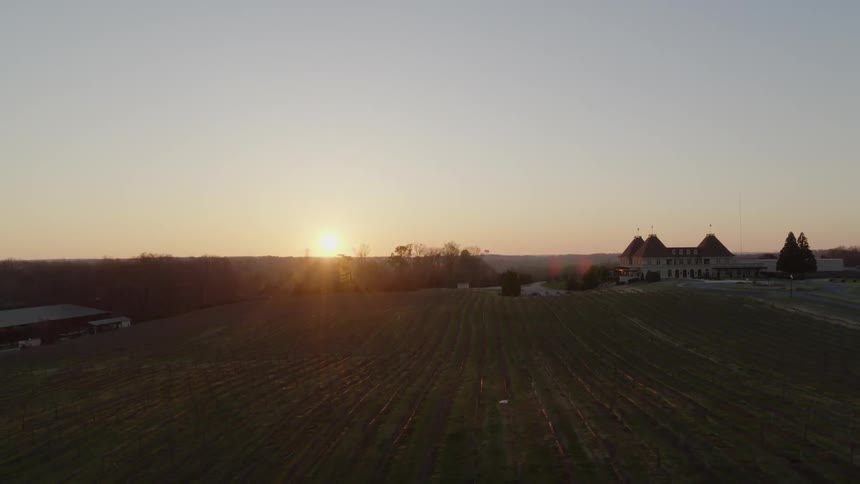 Descending along rows of grape vines as the sun sets behind the vineyard