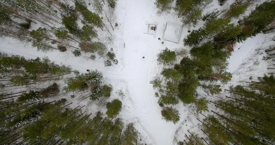 Ground covered in snow in forest