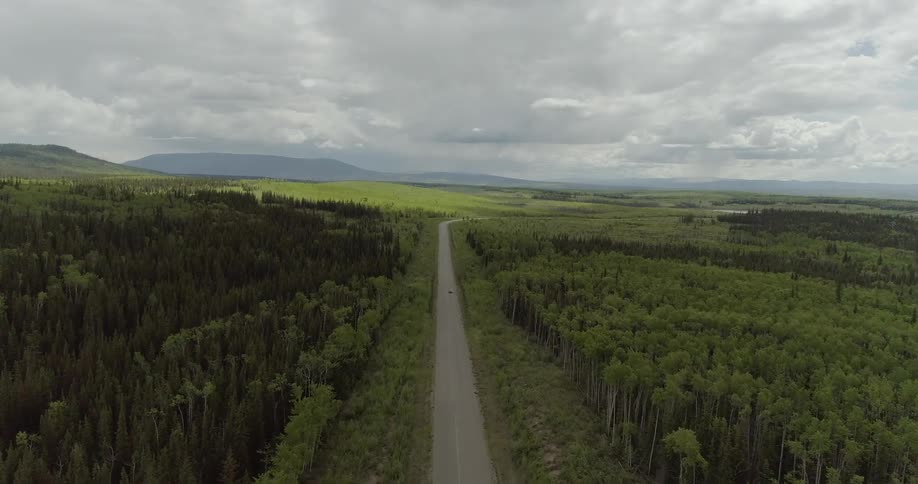 The long road turns past the forest ahead