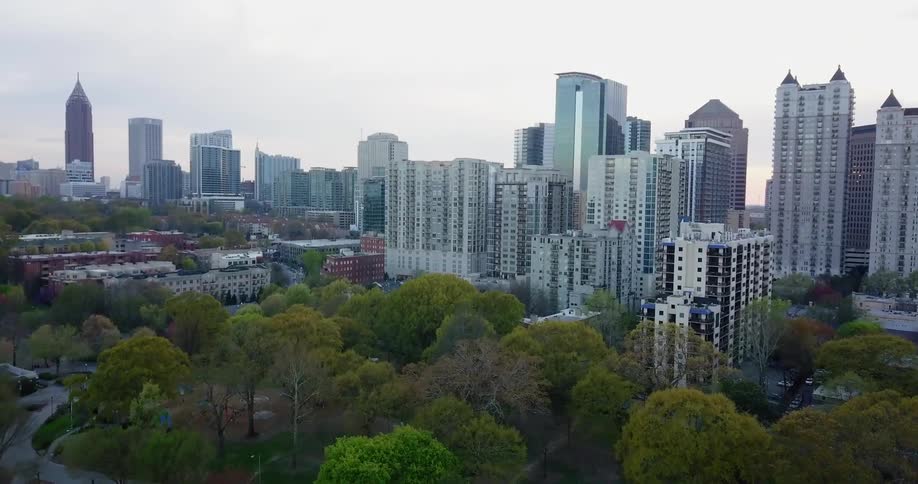 Tall trees are in the park by the city