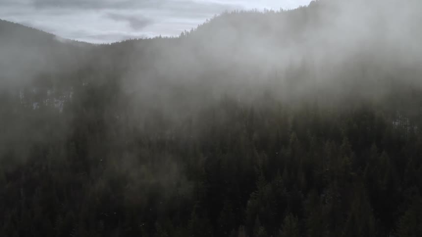 Clouds float above a mountain forest
