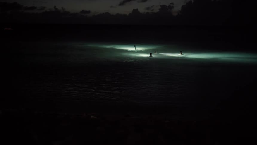 A group of friends are wearing lights as they wade in the ocean at night
