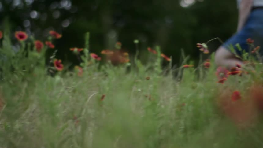 Woman walks through a field of flowers