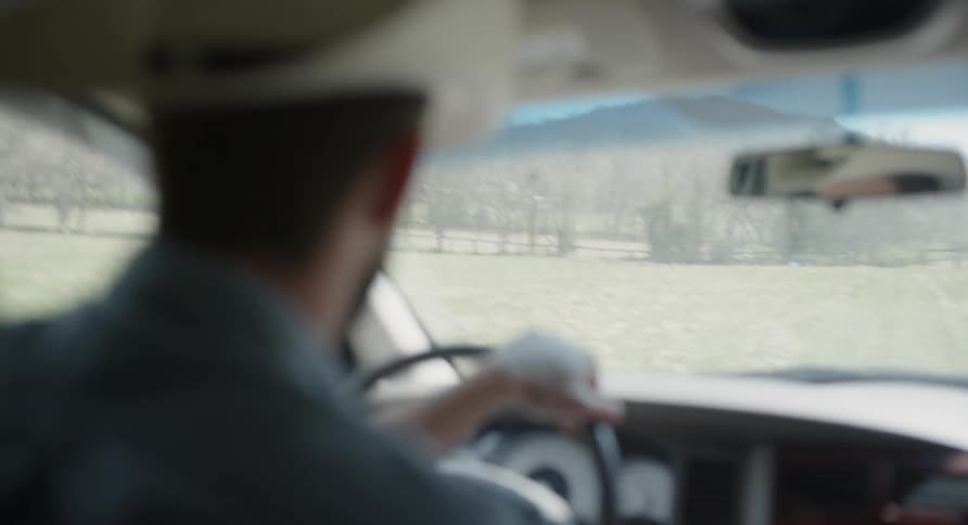 A man is driving a car past green fields