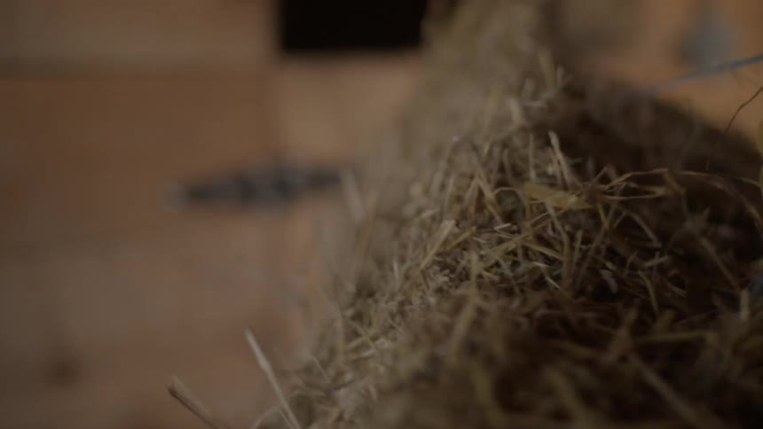 A man is picking up and moving a bale of hay inside during the day