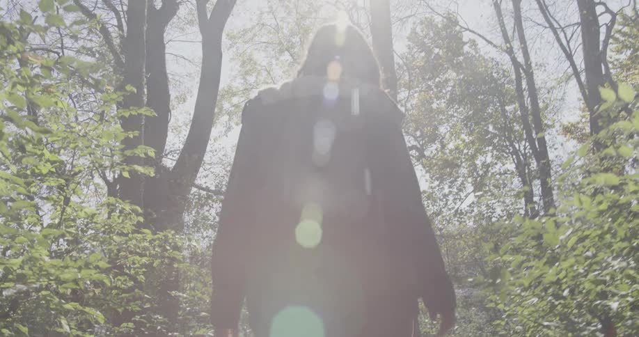 Woman walks in a forest on a sunny day