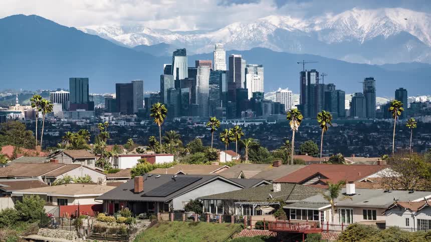 The palm trees line the homes near the city