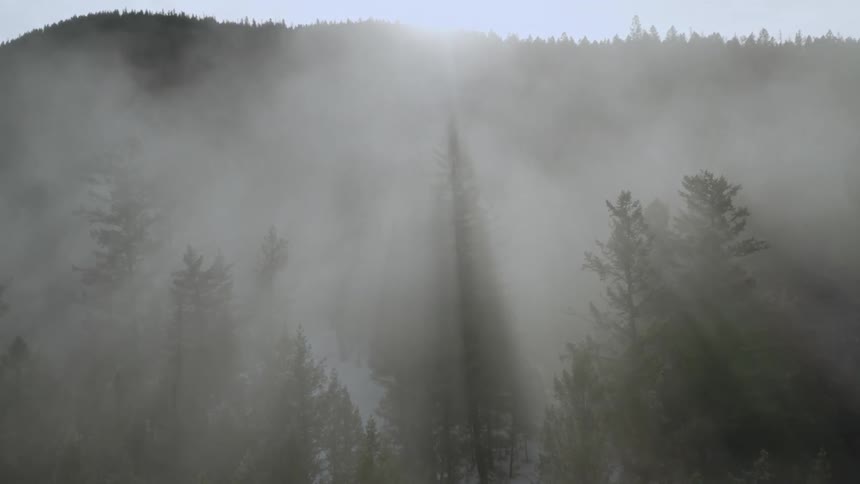 The fog rolls over the trees on the hills