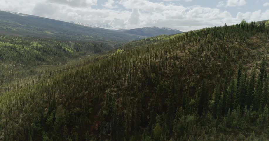 A vast forest covers the hills ahead