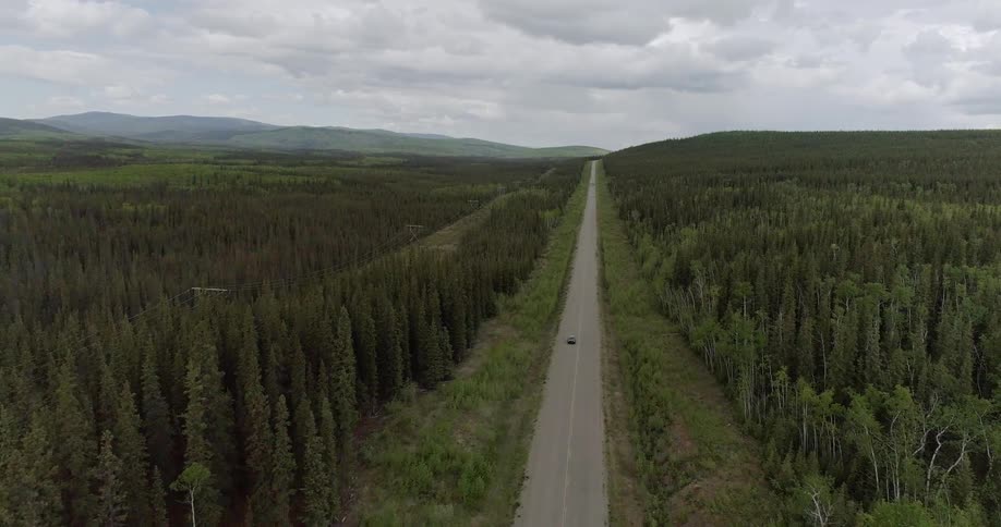 A car drives on a forest road