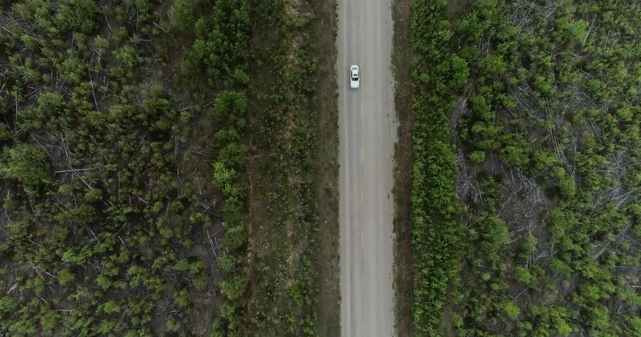 The car travels down the road surrounded by a forest