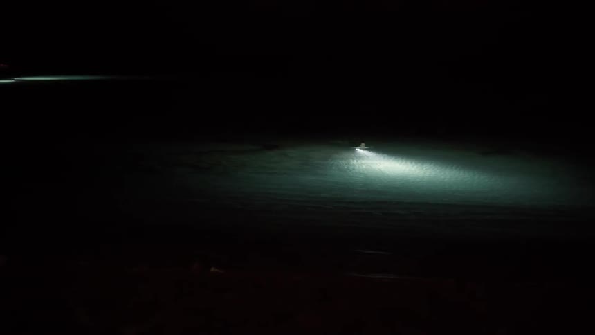 People in the water at night shine flashlights around