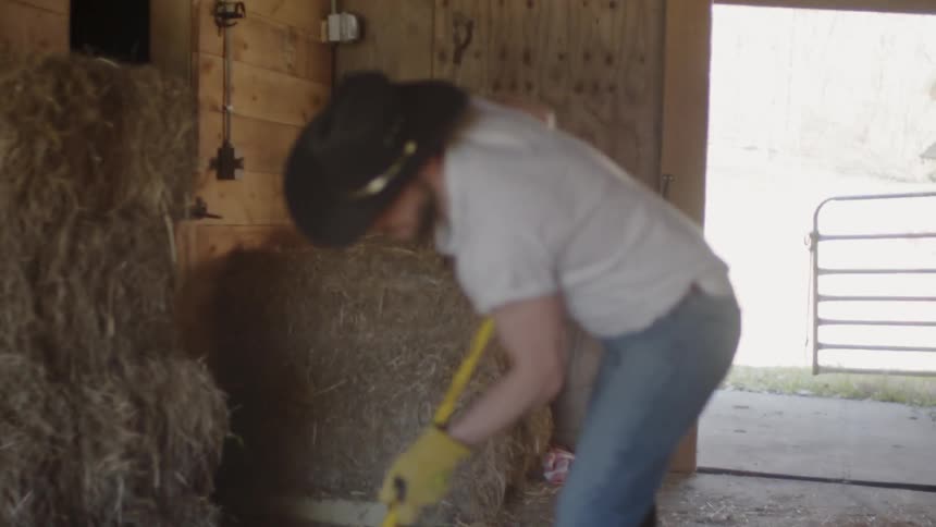 Man in cowboy hat is raking and clearing hay from barn floor